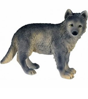 Loup gris, debout